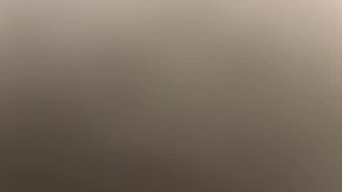 felixthekat911 online show from 11-05-25, 12:43