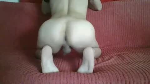 Snapshot of femboyhot28 chatting on 11-09-25, 03:05 femboyhot28 online show from 11-09-25, 03:05