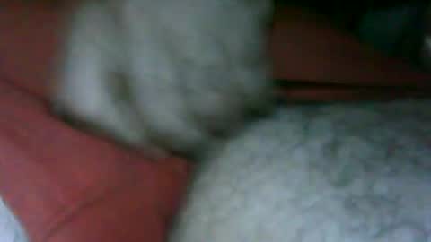 fer_2197 online show from 11-13-25, 02:49