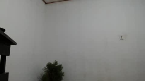 Snapshot of fernandez_latinblack chatting on 12-02-24, 04:20 fernandez_latinblack online show from 12-02-24, 04:20