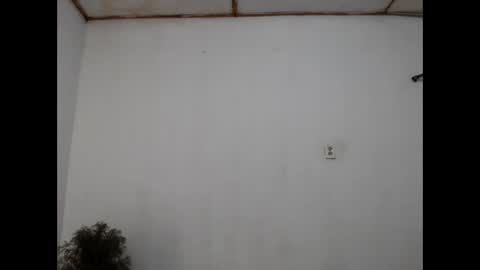 Snapshot of fernandez_latinblack chatting on 12-31-24, 11:28 fernandez_latinblack online show from 12-31-24, 11:28