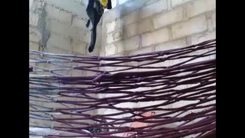 Snapshot of fernandez_latinblack chatting on 10-01-25, 02:12 fernandez_latinblack online show from 10-01-25, 02:12