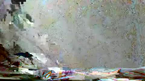 fernandez_latinblack online show from 11-18-25, 10:31