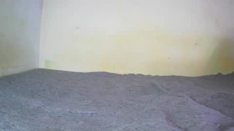 Snapshot of fernando_tlk chatting on 12-20-24, 07:17 Fern Tlk online show from 12-20-24, 07:17