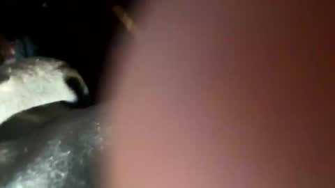 Snapshot of fieldmousebby chatting on 11-12-25, 08:15 fieldmousebby online show from 11-12-25, 08:15