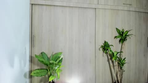 Snapshot of filletatouee chatting on 11-10-25, 04:44 filletatouee online show from 11-10-25, 04:44