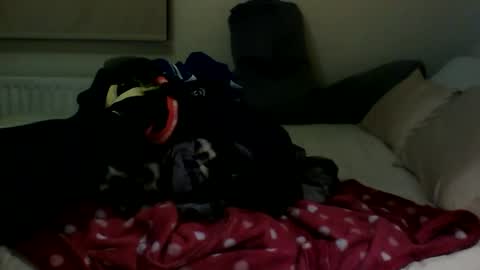 Snapshot of fitbut chatting on 01-30-25, 07:48 Fitbut online show from 01-30-25, 07:48