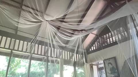 fluffy_bunnyxxx online show from 02-06-25, 05:35