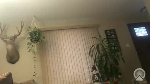 Snapshot of frankdaddy896 chatting on 01-06-26, 01:15 Frank online show from 01-06-26, 01:15