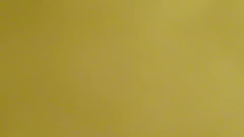 frankyb0yforeal online show from 02-24-26, 07:28