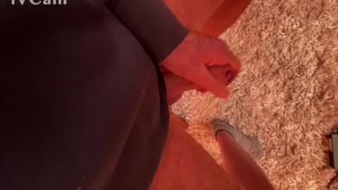 Snapshot of franzleo2903 chatting on 03-04-26, 07:36 franzleo2903 online show from 03-04-26, 07:36