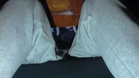 frenchpapalover online show from 10-31-25, 08:48