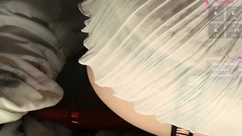Snapshot of frenulumsnap chatting on 02-22-25, 06:08 Meadow online show from 02-22-25, 06:08