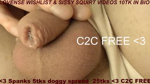 Meadow online show from 02-09-26, 09:24