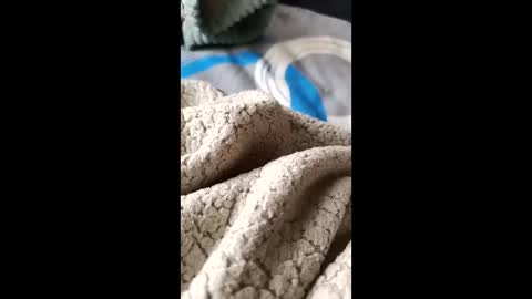 frodo7828 online show from 11-30-25, 03:49