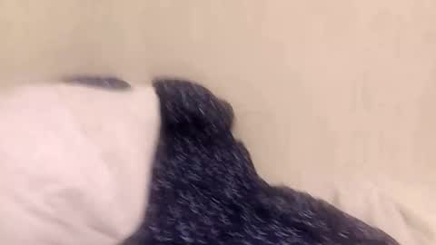 Snapshot of fuckmee12334wq chatting on 03-09-26, 01:42 fuckmee12334wq online show from 03-09-26, 01:42