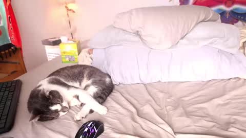 fuckmypussyplz1 online show from 02-01-25, 05:37