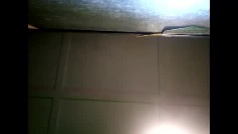 Snapshot of fucmebudoo chatting on 01-11-25, 09:47 Warwick online show from 01-11-25, 09:47