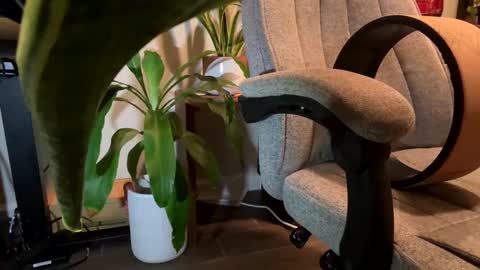 fuklicious online show from 01-19-25, 03:39