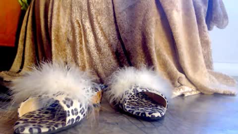 Snapshot of fun4tips chatting on 02-26-26, 06:45 Fun4Tips online show from 02-26-26, 06:45