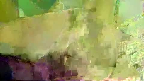 funandwilde online show from 10-08-25, 02:20