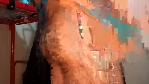 Italian men online show from 02-02-25, 02:24