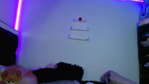 Victoria online show from 03-11-25, 12:00