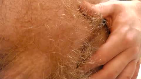 gae89tano online show from 02-19-25, 09:58