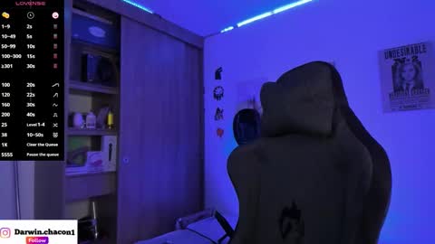 Snapshot of gaelvilla1 chatting on 11-11-25, 03:23 GaelVilla online show from 11-11-25, 03:23