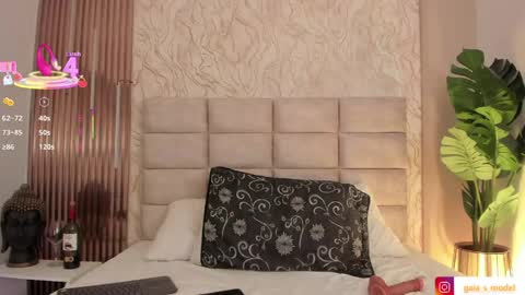 Snapshot of gaia_stonne chatting on 04-01-26, 01:41 gaia_stonne online show from 04-01-26, 01:41