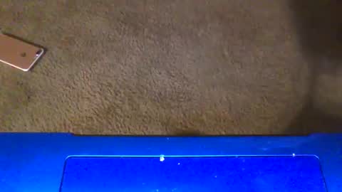 gangdrewski online show from 03-06-26, 04:53