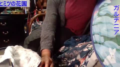 Gardenia online show from 12-02-24, 08:41