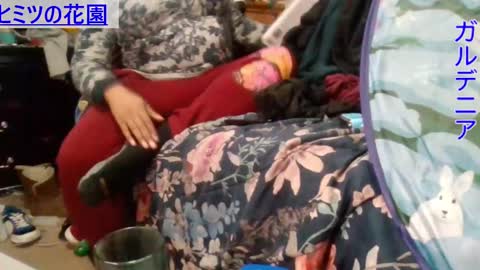 Gardenia online show from 12-05-24, 09:06