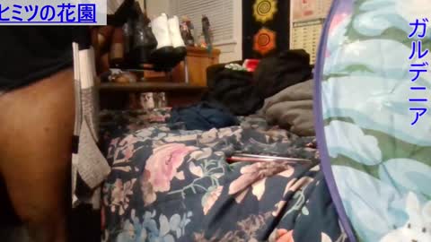 Gardenia online show from 12-06-24, 09:43