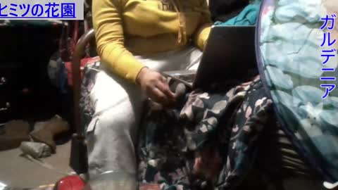 Gardenia online show from 12-09-24, 08:33