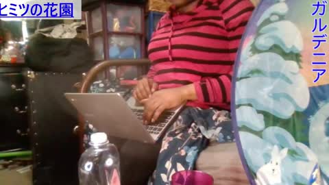 Gardenia online show from 01-05-25, 09:03