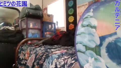 Gardenia online show from 01-08-25, 06:31