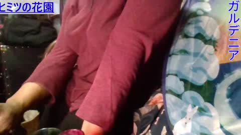 Gardenia online show from 01-09-25, 07:21