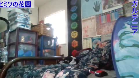 Gardenia online show from 02-26-25, 09:48