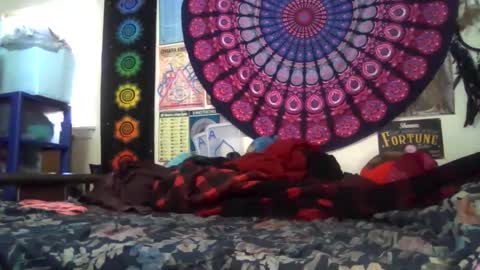 Snapshot of gardeniaspear chatting on 02-22-26, 08:40 Gardenia online show from 02-22-26, 08:40