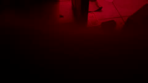 Snapshot of garrick358091 chatting on 11-03-25, 04:25 garrick358091 online show from 11-03-25, 04:25