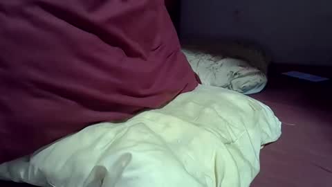 Snapshot of gasielah chatting on 02-02-26, 07:45 gasielah online show from 02-02-26, 07:45