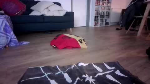 Snapshot of gaypuppychaste chatting on 12-23-25, 04:32 gaypuppychaste online show from 12-23-25, 04:32