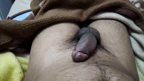 Snapshot of gbbdjr123 chatting on 01-12-26, 03:17 gbbdjr123 online show from 01-12-26, 03:17