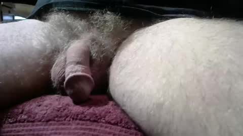 Snapshot of gemini_2 chatting on 01-11-26, 02:55 gemini_2 online show from 01-11-26, 02:55