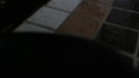 gene online show from 12-31-24, 07:29