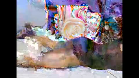 georgeous_kimberly online show from 03-25-26, 06:30