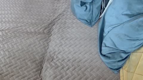 Melissa online show from 02-17-26, 11:29