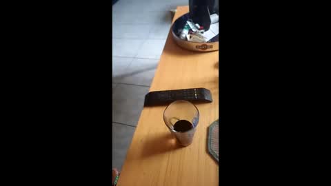 gergokertesz online show from 12-24-24, 12:55