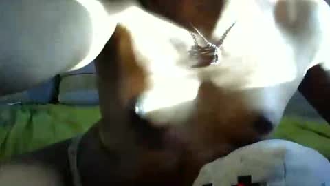 ghastgirlt_t online show from 10-13-25, 10:10